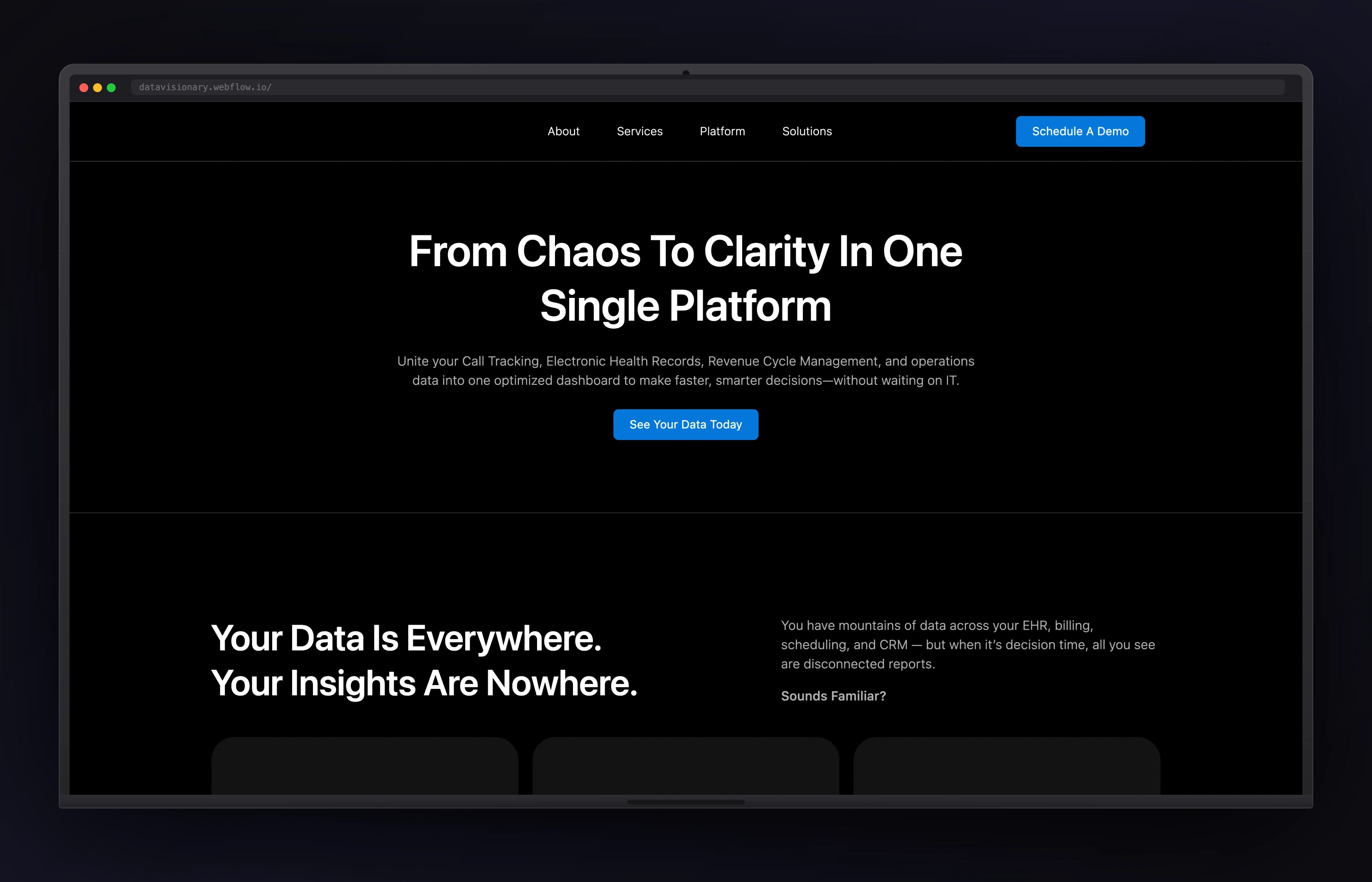 Data Visionary website preview