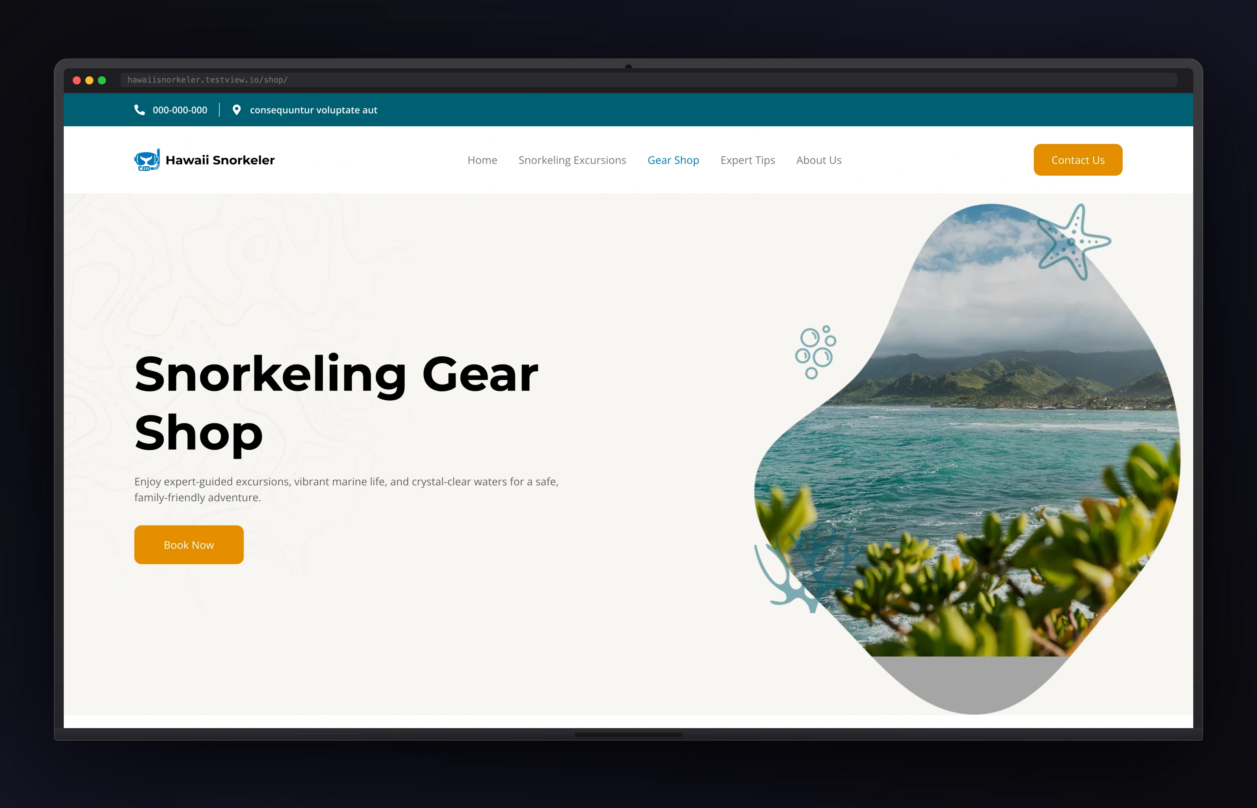 Hawaii Snorkeler desktop website concept