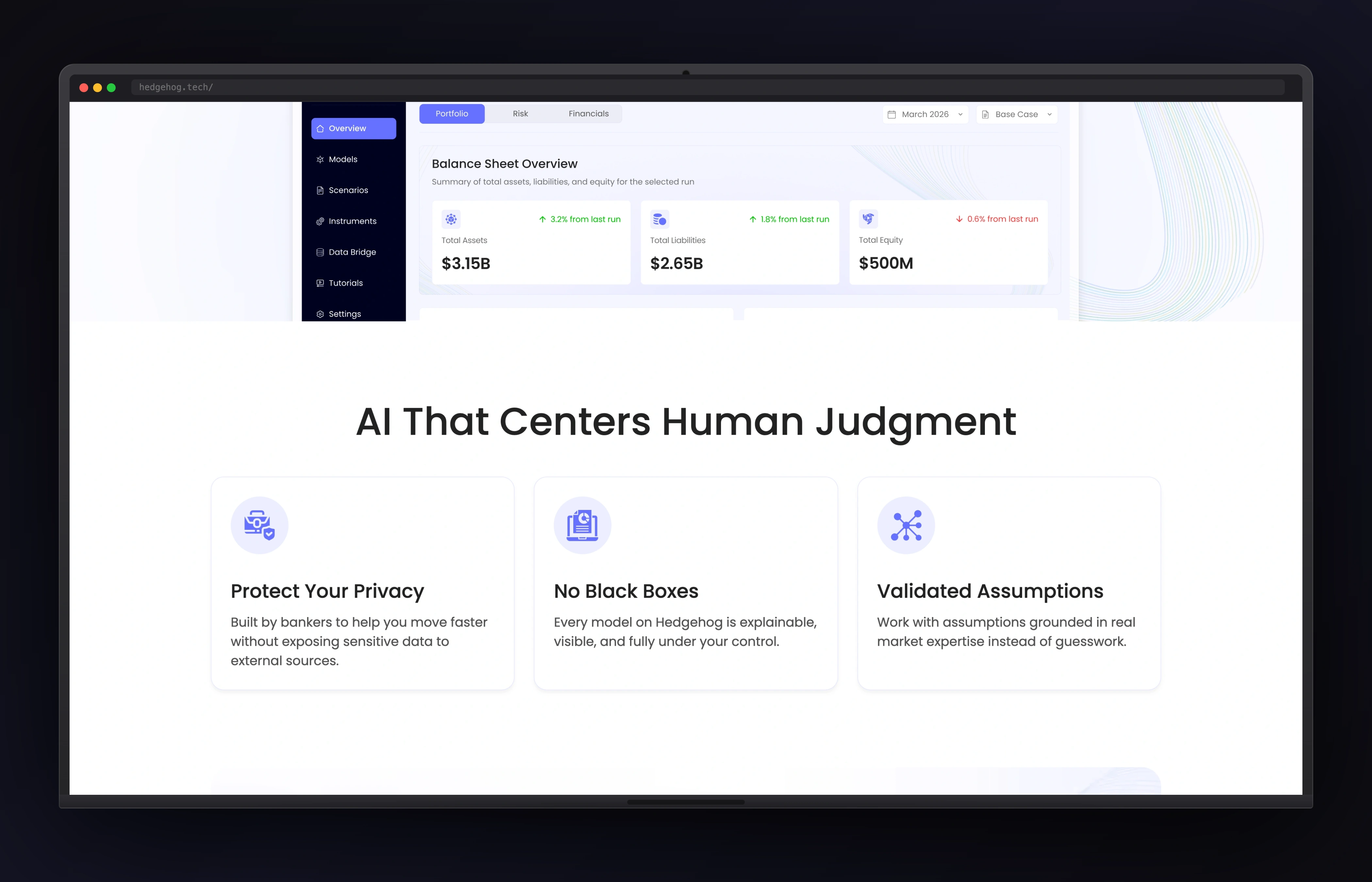 Hedgehog Tech desktop website concept
