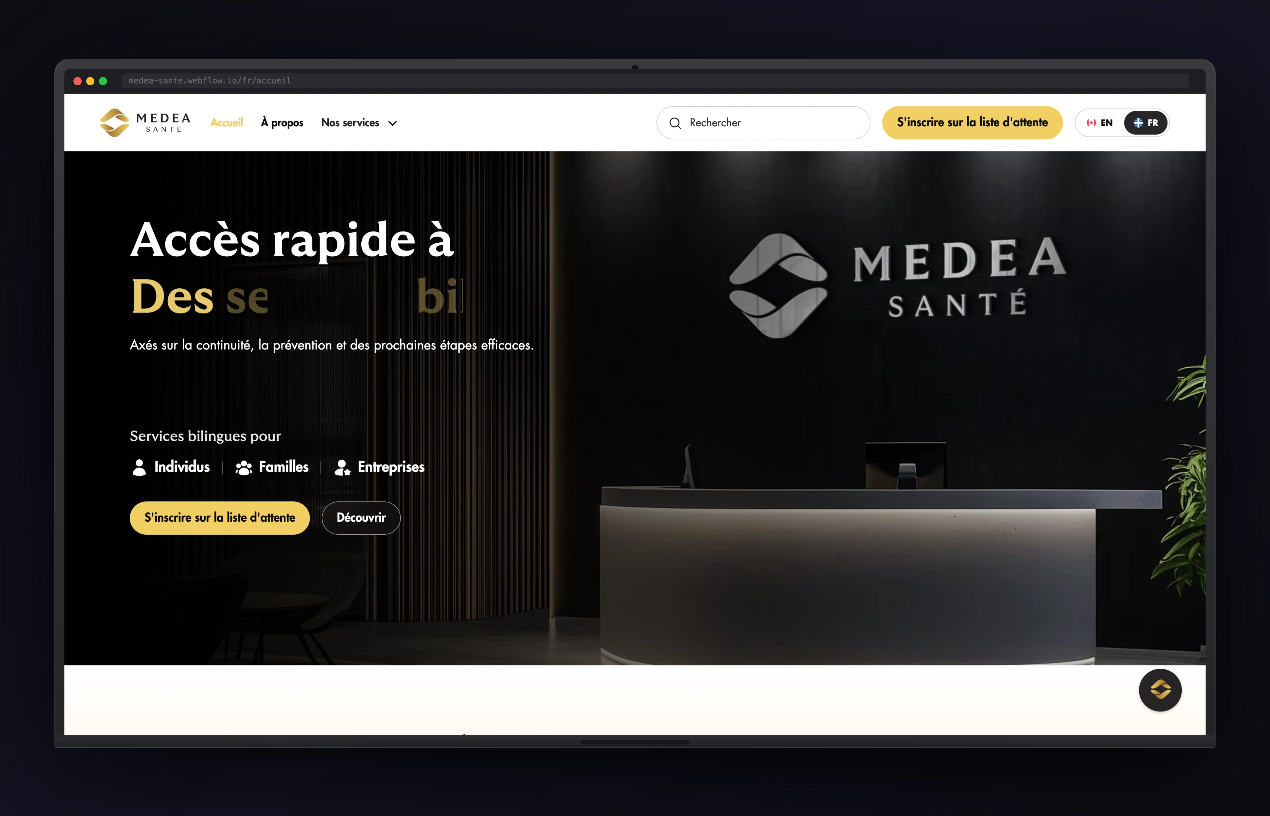 Medea Sante desktop website concept