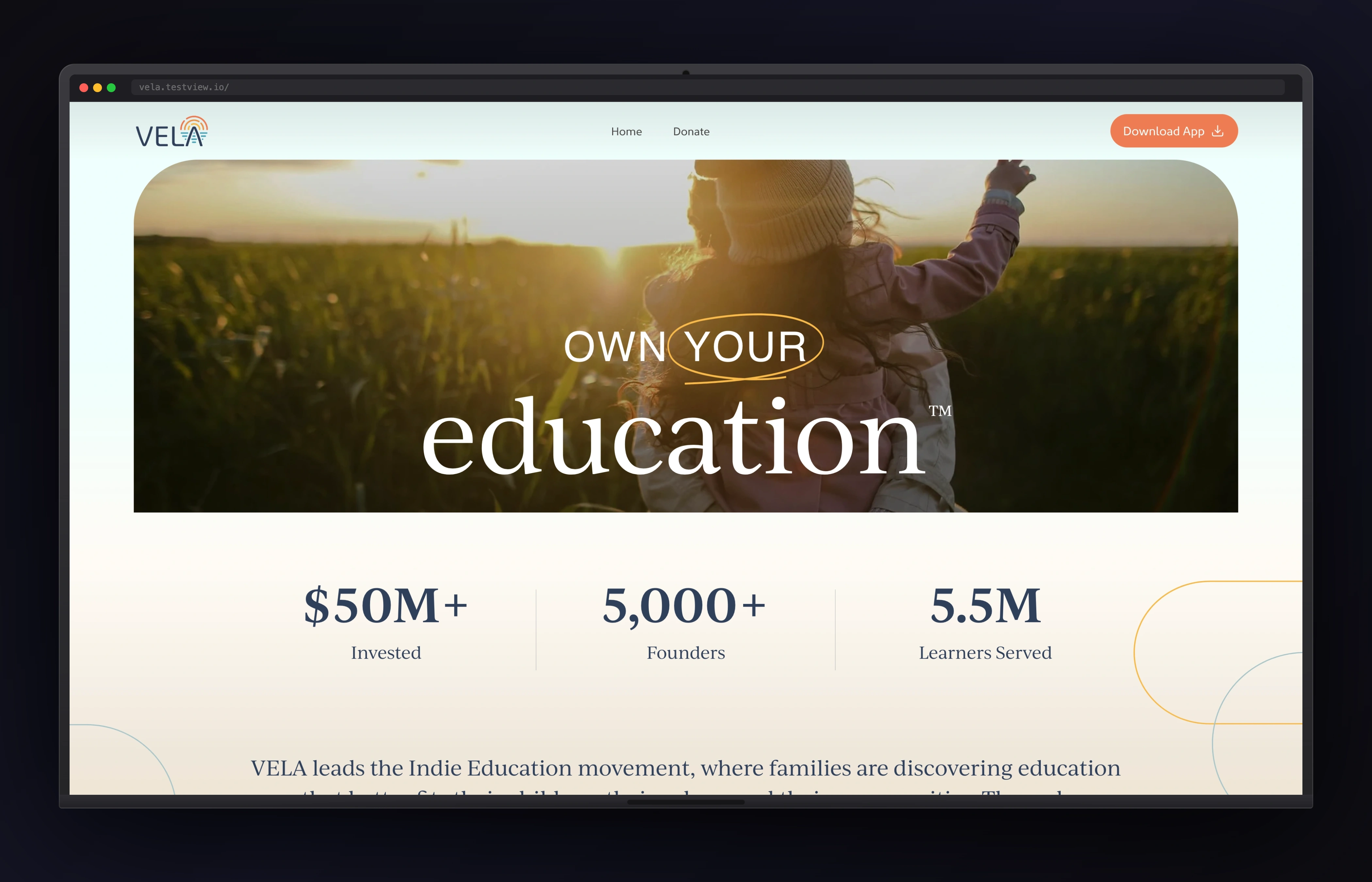 Vela website preview